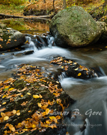 Fall Rocky Brook