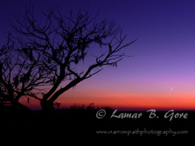 Sundown at St. Catherines Island