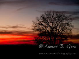 Painted Desert Sunset