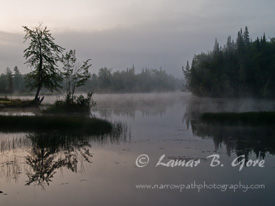Settled Fog on Umbagog