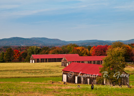New England Residents