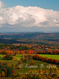 Shrouded Autumn Dreams
