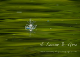 Reflective Continuation