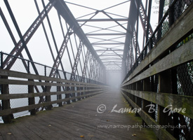 Foggy Visions