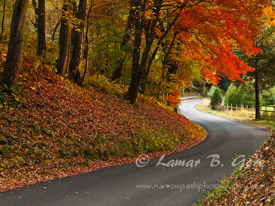 Fall Curves on Moody Bridge Road