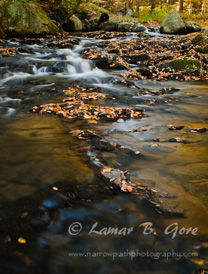 Curves of the Colored Brook