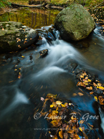 Feathered Flow at Louisiana