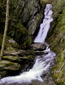 Steps of Tannery Falls