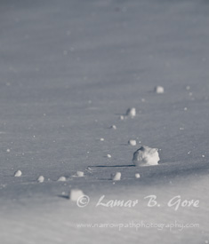 Drops of Snow