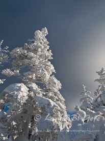 Uninhabitable Beauty