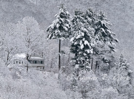 Blanketed